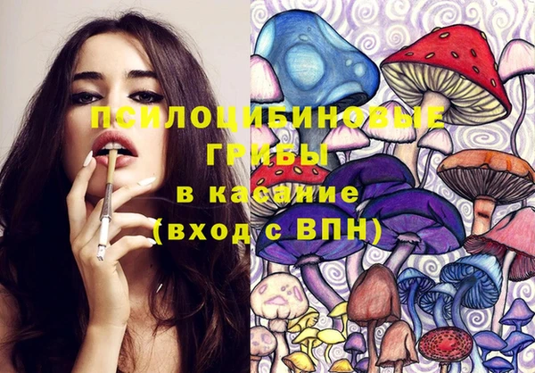 эйфоретик Абаза