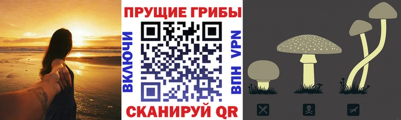 Псилоцибиновые грибы GOLDEN TEACHER цена mega ССЫЛКА Усть-Лабинск
