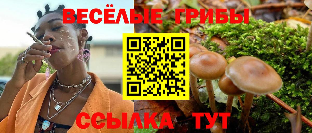 купить наркотик  Галлюциногенные грибы Cubensis  Вход с VPN  Усть-Лабинск 